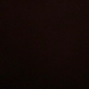 Meet your Posher, Lilly